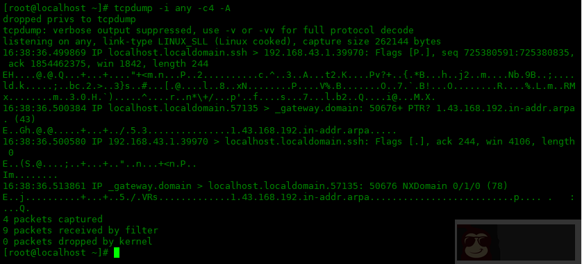 tcpdump 命令的常用选项:三 tcpdump 命令的常用选项:三