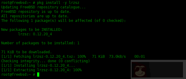 在 FreeBSD 中 pkg 包管理器使用实例