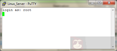 Linux 为什么卡住了？
