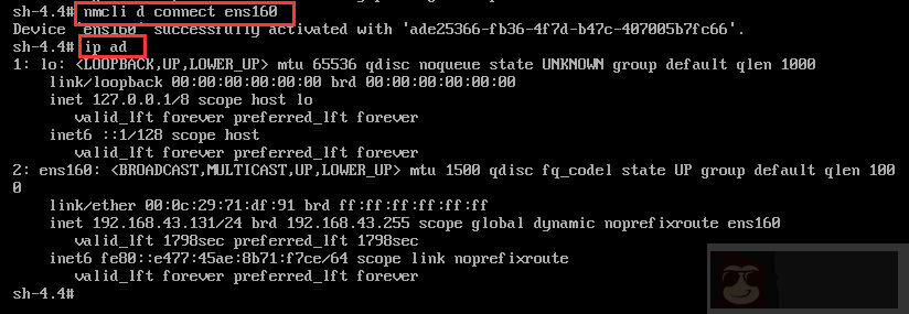Centos8 如何在 Rescue 模式下配置网络和 SSH 登录
