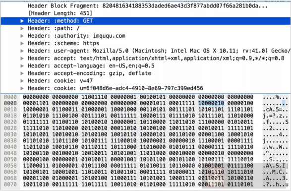 揭秘 HTTP/2 头部压缩技术 揭秘 HTTP/2 头部压缩技术