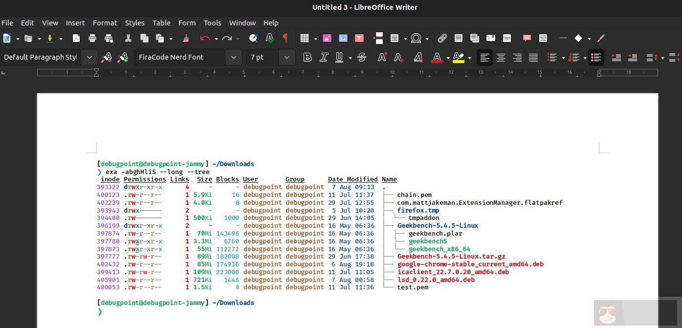 使用 lsd 和 exa 来重新想象和设计你的文件和目录列表 使用 lsd 和 exa 来重新想象和设计你的文件和目录列表