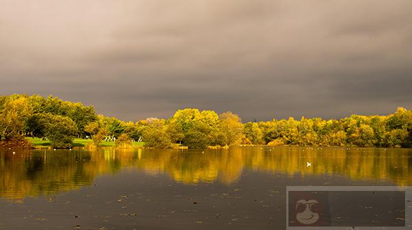 Docker 之 SBOM Docker 之 SBOM