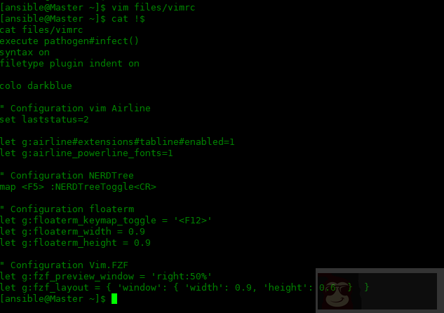 如何使用 Ansible 配置 Vim 并安装插件 如何使用 Ansible 配置 Vim 并安装插件