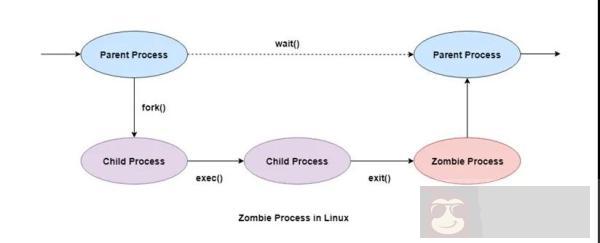 Linux 中僵尸进程详解 Linux 中僵尸进程详解