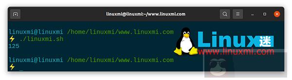 如何在 Bash 脚本中使用单行和多行注释 如何在 Bash 脚本中使用单行和多行注释
