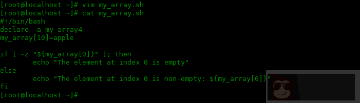 如何在 bash 中使用索引数组 如何在 bash 中使用索引数组