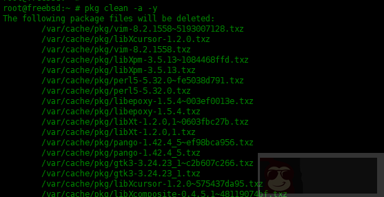 在 FreeBSD 中 pkg 包管理器使用实例