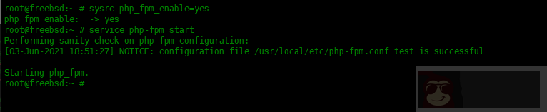如何在 FreeBSD 中安装 Nginx,MySQL,PHP(FEMP)
