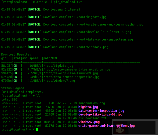 Linux 中如何使用 Aria2 下载文件