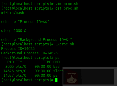 3 个实例介绍 shell 脚本中几个特殊参数的用法
