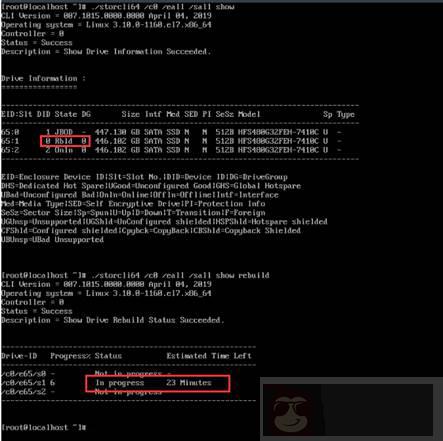 如何使用 storcli 在系统中管理 RAID 磁盘阵列