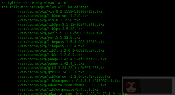 在 FreeBSD 中 pkg 包管理器使用实例