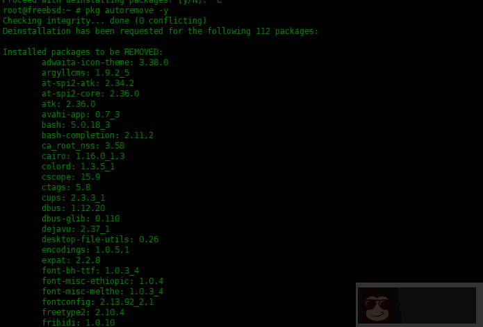 在 FreeBSD 中 pkg 包管理器使用实例