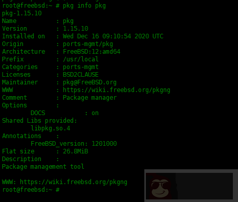 在 FreeBSD 中 pkg 包管理器使用实例