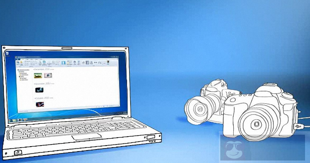 Windows 10 中检查已安装编解码器的几个方法 Windows 10 中检查已安装编解码器的几个方法