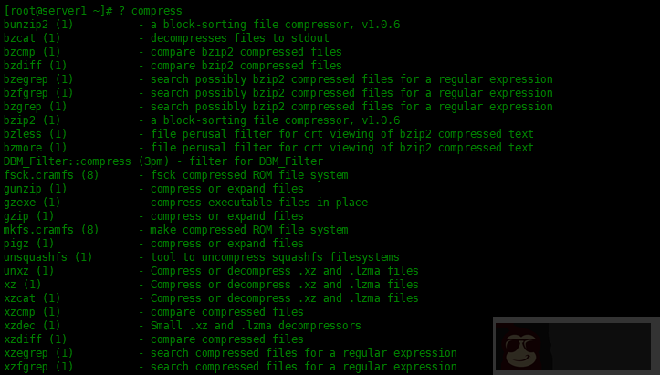 Linux 中如何使用 alias 命令