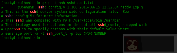 6 个使用正则表达式搜索文本中内容的工具