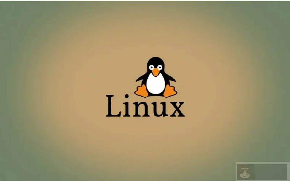 shell 内置命令 #yyds 干货盘点 #