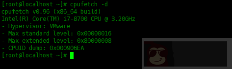 cpufetch – 查询 cpu 架构信息的工具