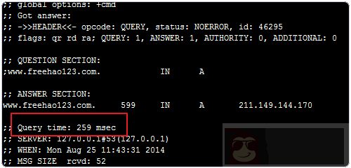 使用 Dnsmasq 搭建本地 dns 服务器上网