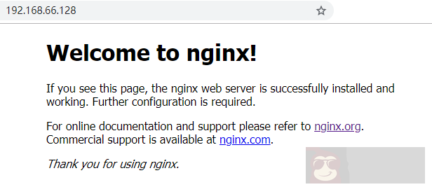 Nginx 极简扫盲入门
