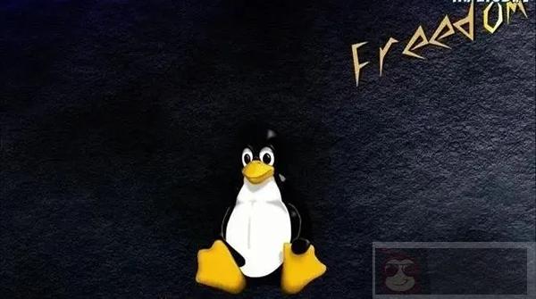 Linux 下的 TCP 测试工具