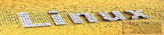 简述 vi 编辑器的启动 \ 退出 \ 保存文件