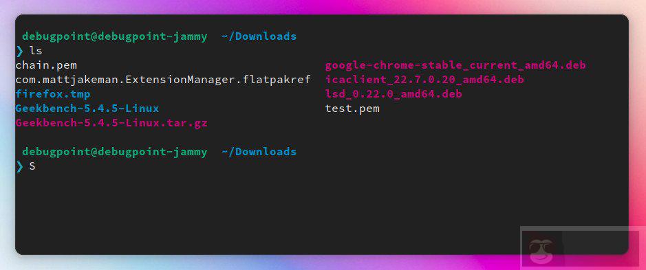 使用 lsd 和 exa 来重新想象和设计你的文件和目录列表 使用 lsd 和 exa 来重新想象和设计你的文件和目录列表