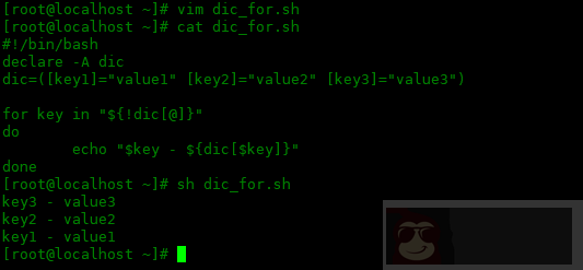 如何在 bash 中使用键值字典
