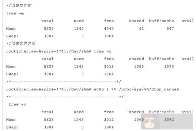 80% 的 Linux 使用者都不懂的内存问题