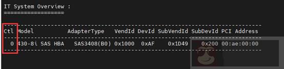 如何使用 storcli 在系统中管理 RAID 磁盘阵列