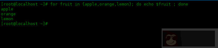 如何在 bash 中使用 {} 范围表达式