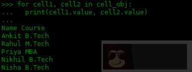 使用 openpyxl 处理表格数据 使用 openpyxl 处理表格数据