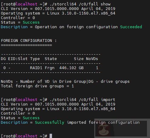 如何使用 storcli 在系统中管理 RAID 磁盘阵列