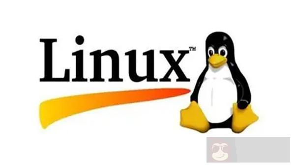 如何快速清空 Linux 中的大文件