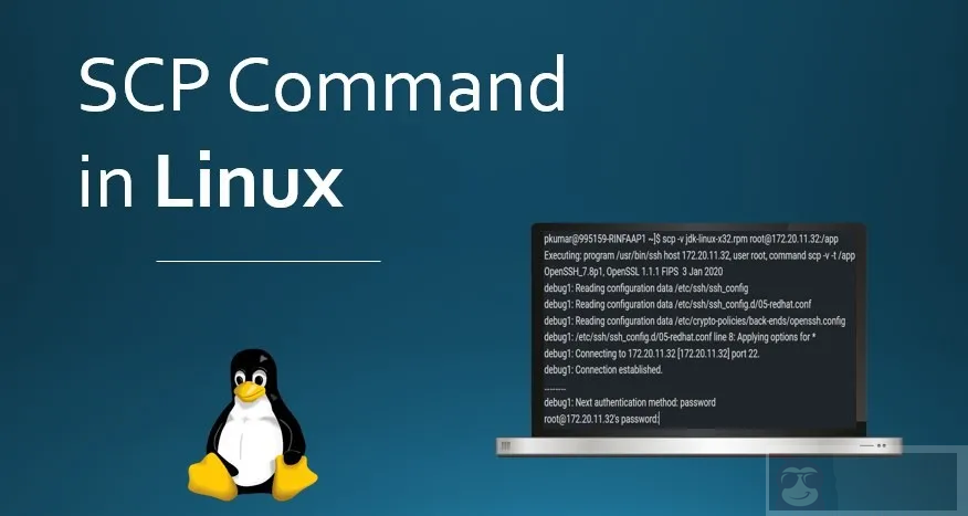 如何用 scp 在本地和远程主机之间复制文件 如何用 scp 在本地和远程主机之间复制文件