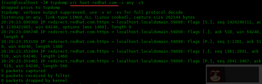 tcpdump 命令的常用选项：二
