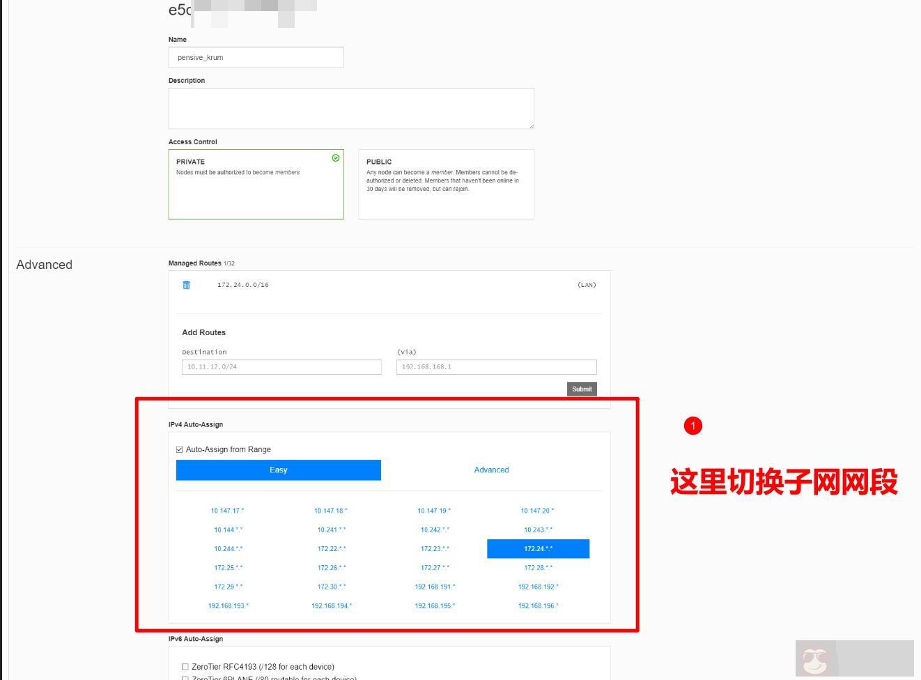 使用 zerotier 让异地设备组局域网