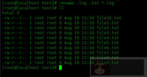 Centos8 中如何更改文件夹中多个文件的扩展名 Centos8 中如何更改文件夹中多个文件的扩展名
