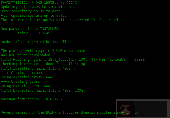如何在 FreeBSD 中安装 Nginx,MySQL,PHP(FEMP)