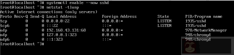 Centos8 中恢复根目录为默认权限