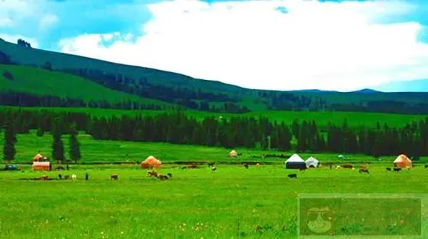 用 C 实现动态扩容的 string