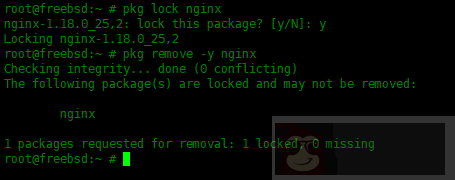 在 FreeBSD 中 pkg 包管理器使用实例