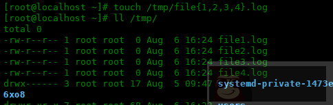 如何在 bash 中使用 {} 范围表达式