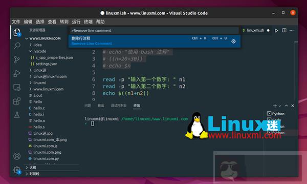 如何在 Bash 脚本中使用单行和多行注释 如何在 Bash 脚本中使用单行和多行注释