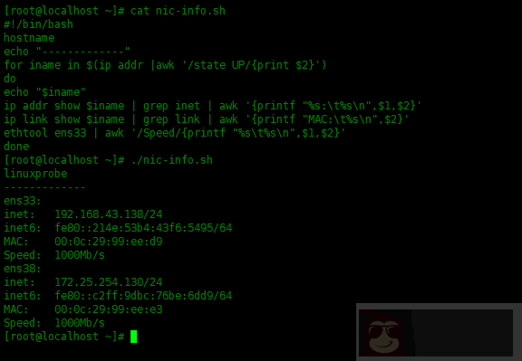 Shell 脚本 – 查看网络接口信息