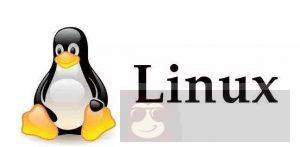 mysql 安装与常用命令