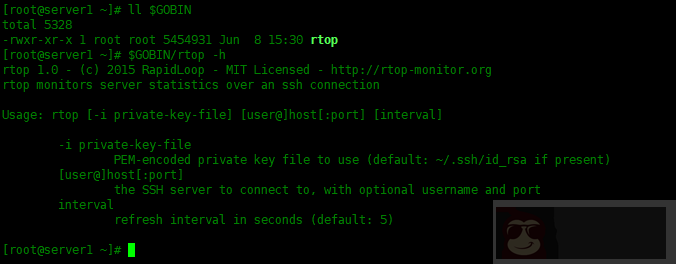 rtop – 通过 SSH 监控远程主机 rtop – 通过 SSH 监控远程主机