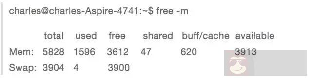 80% 的 Linux 使用者都不懂的内存问题